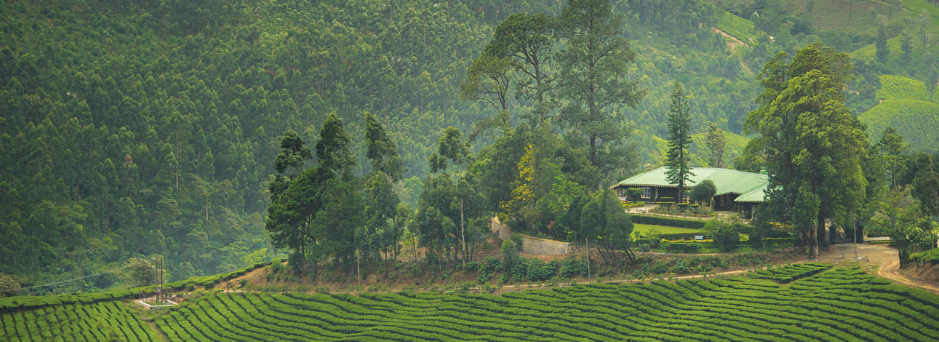 Talayar Valley Bungalow photo 3
