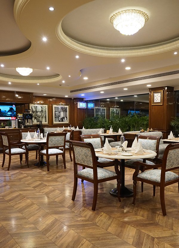 Hotel Holiday Regency (A Unit of Omsons Holidays Inn Pvt. Ltd.) photo 2