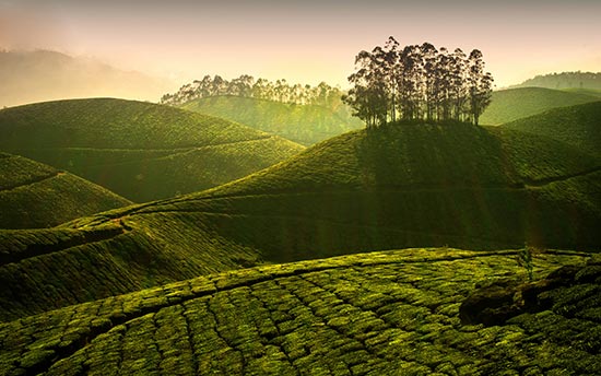Shiloh Travels and Tours Pvt Ltd photo 1