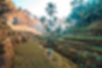 Xpertiz Tours photo 1