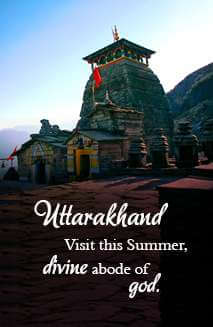 Tour My India Pvt. Ltd. photo 3