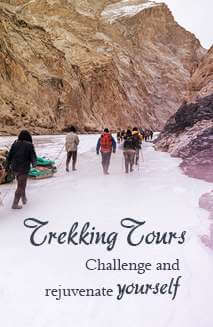 Tour My India Pvt. Ltd. photo 1
