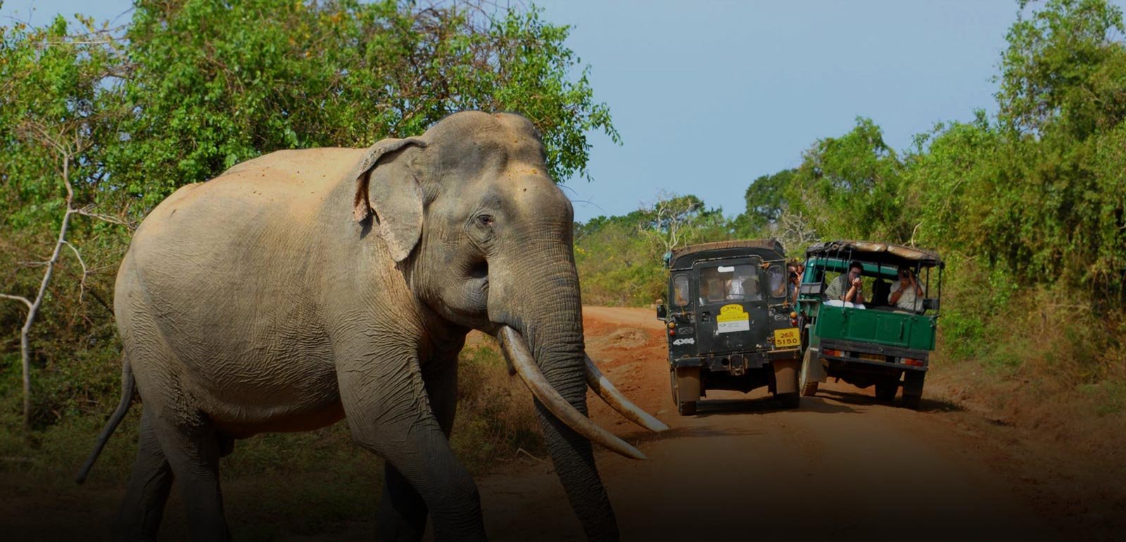 Cee Bee Cee Travels Tours Pvt. Ltd. photo 2