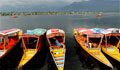 AVM Travel Designers Pvt. Ltd photo 1