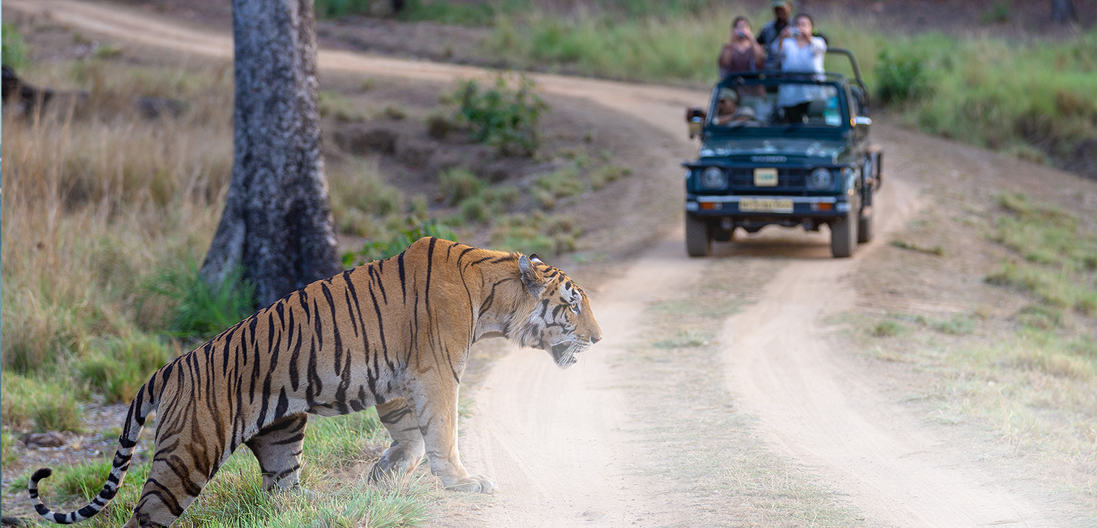 Sai India Travel photo 1