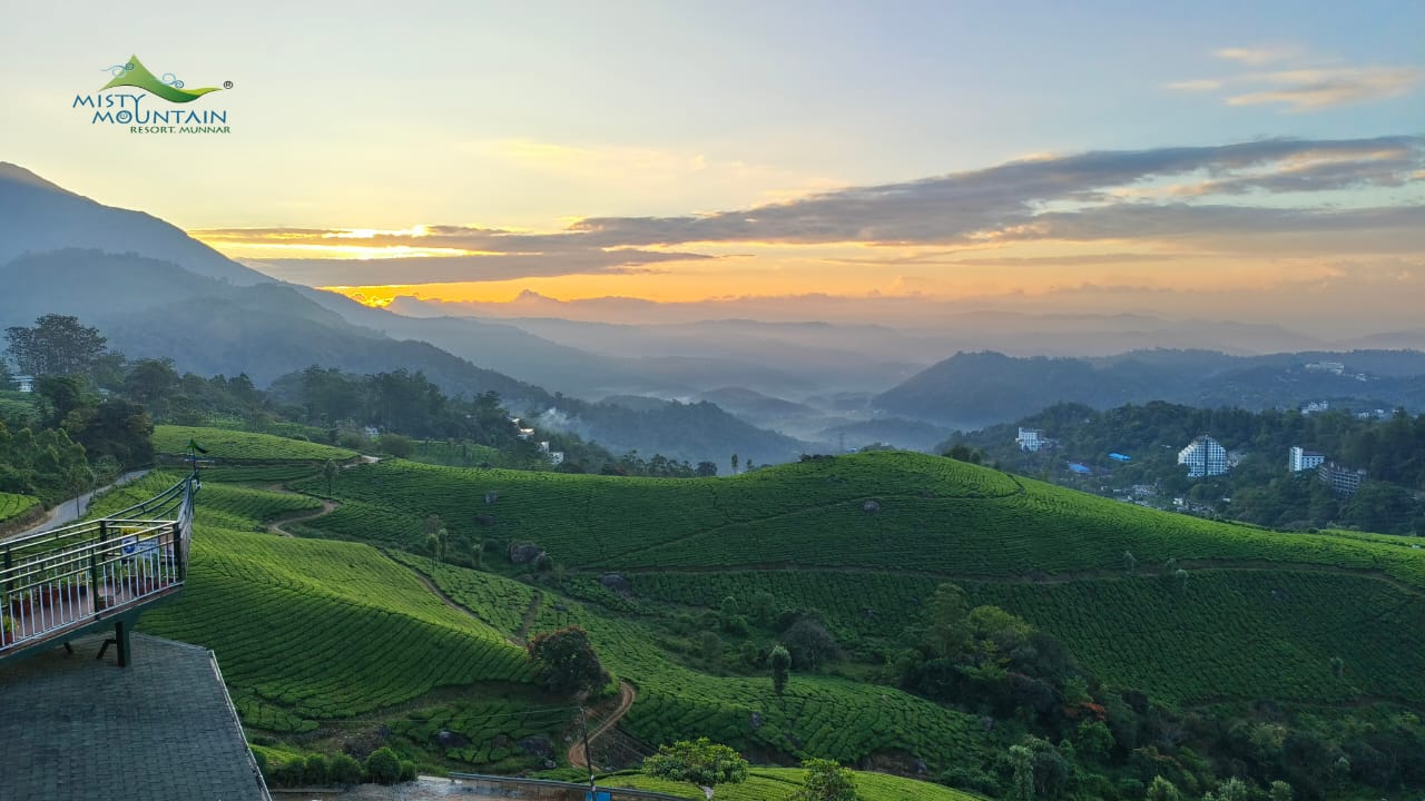 Misty Mountain Resort, Munnar