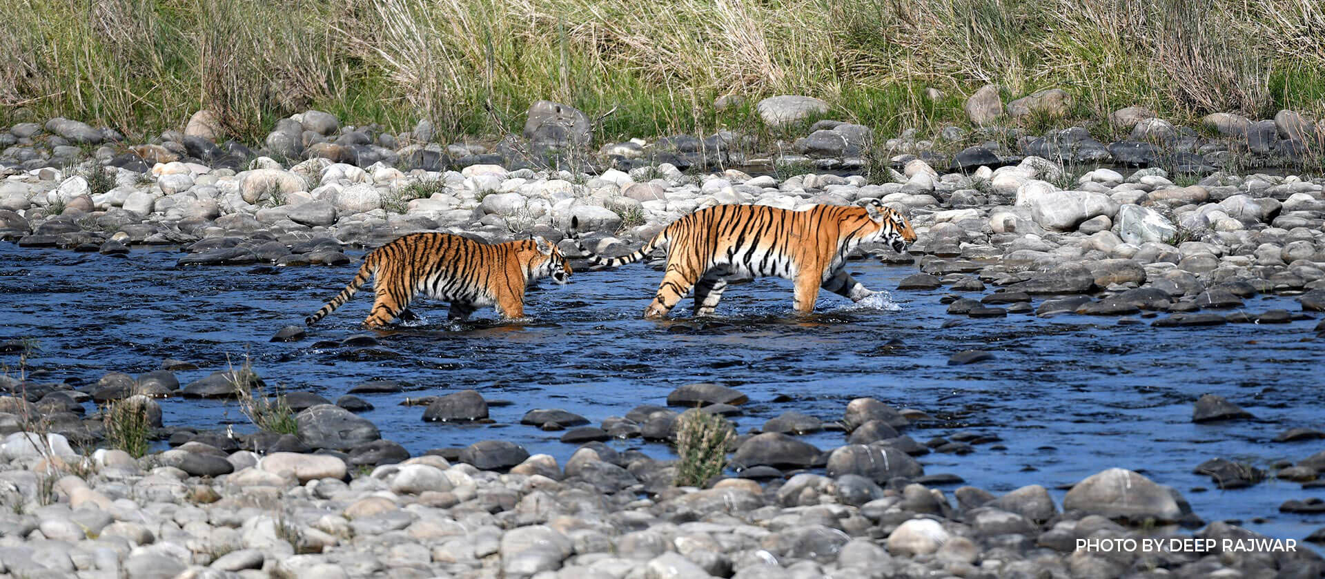 Uttarakhand Odyssey Tour