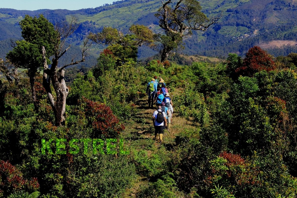Kestrel Adventures & Holidays Pvt. Ltd. photo 2