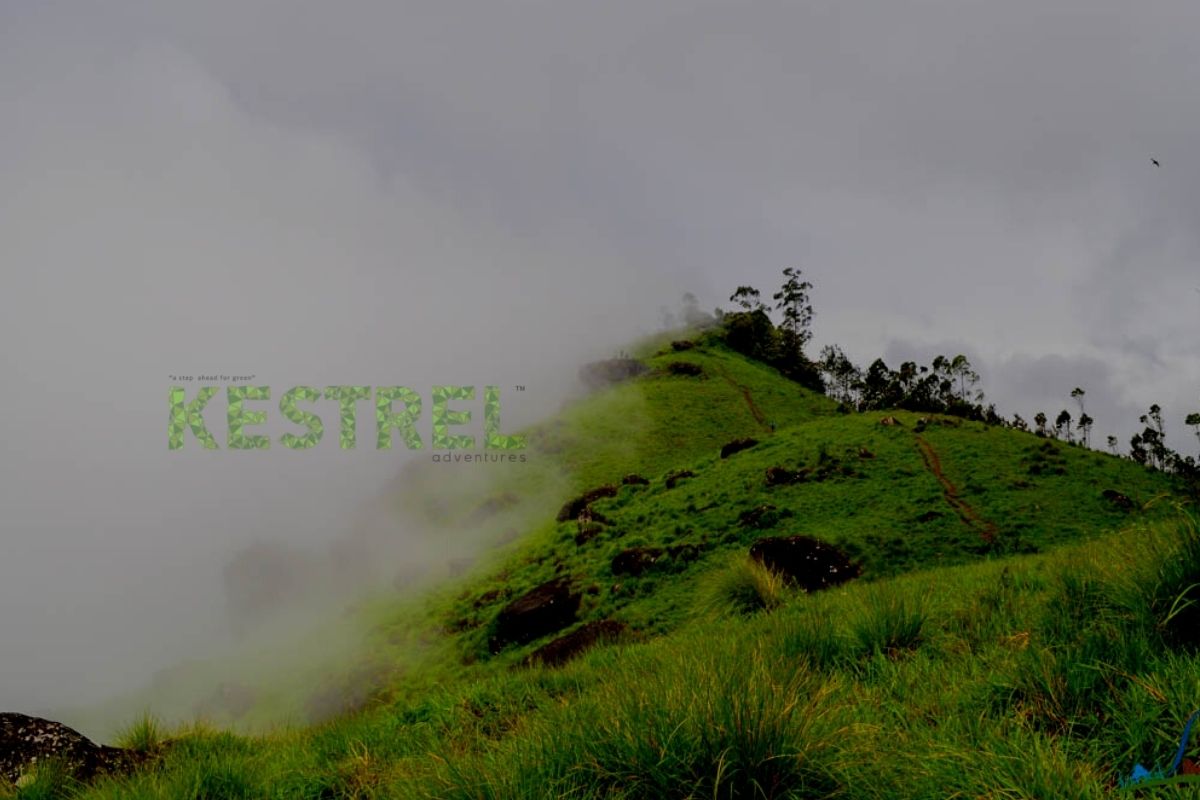 Kestrel Adventures & Holidays Pvt. Ltd. photo 1