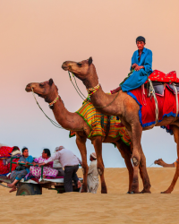 India Easy Trip Pvt Ltd photo 1