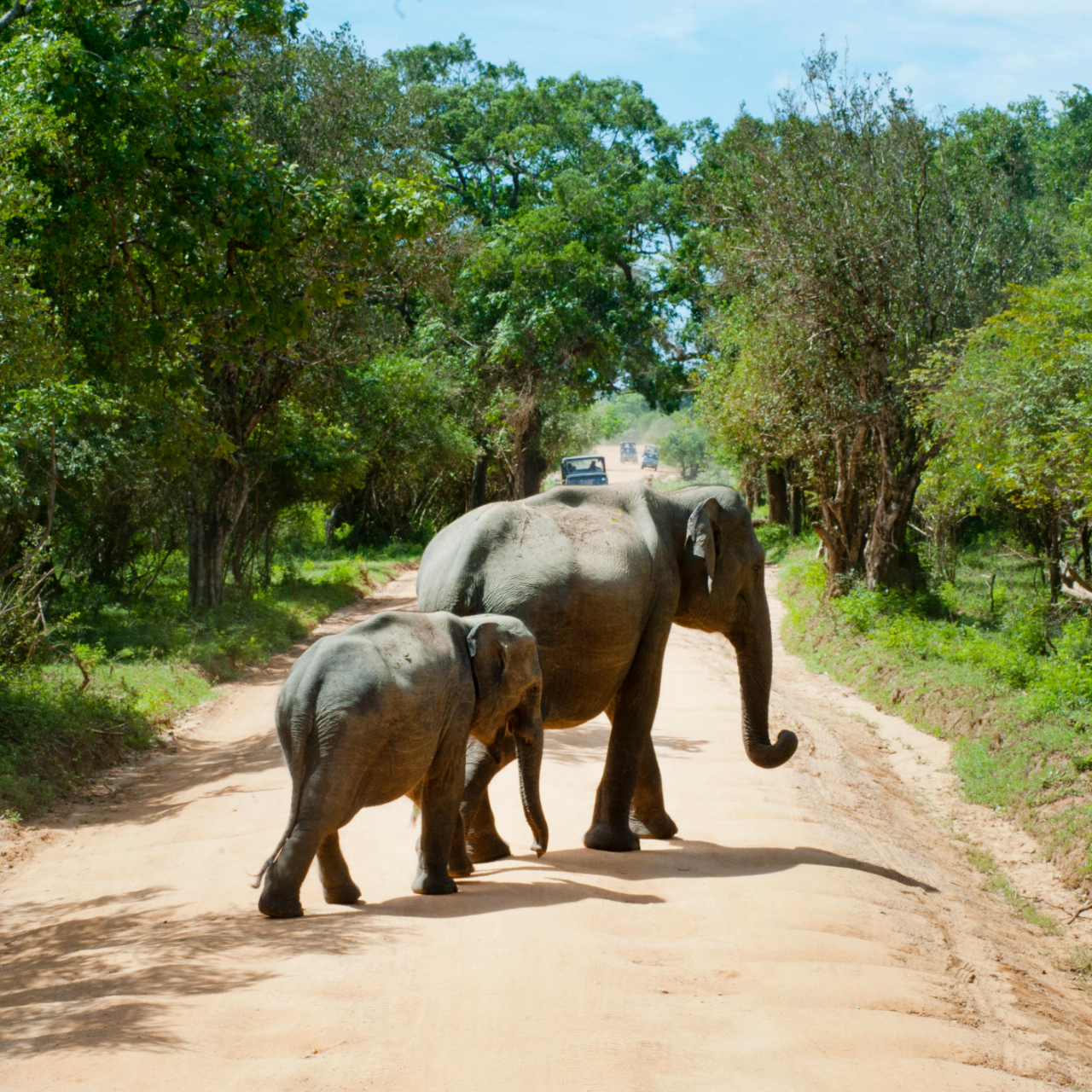 QXP India Travel Pvt. Ltd.