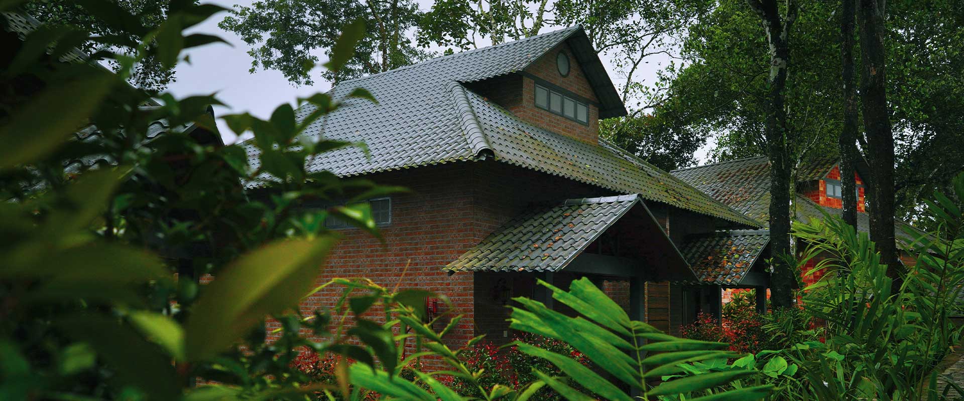 Elephant Passage A Mountain Resort, Munnar photo 3