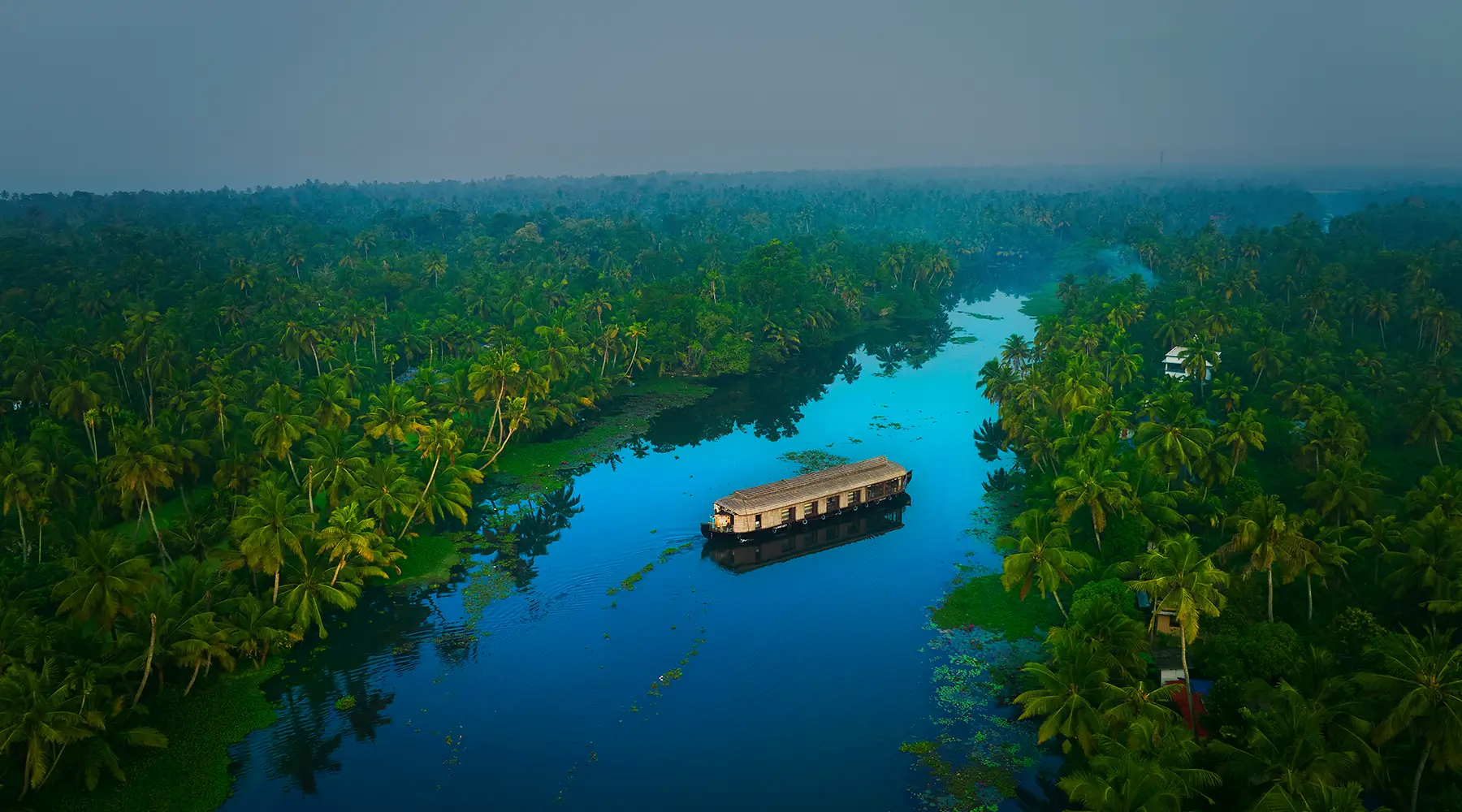 Blue Jelly Cruises & Resorts Pvt Ltd photo 3