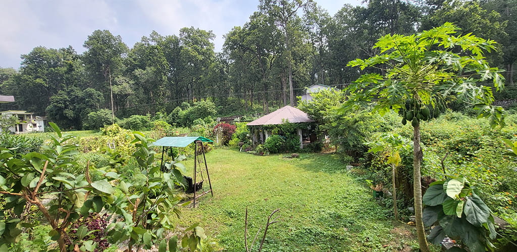 Sparrow Nest Corbett homestay photo 3