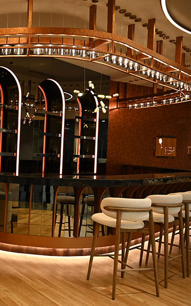 0484 AERO LOUNGE photo 2