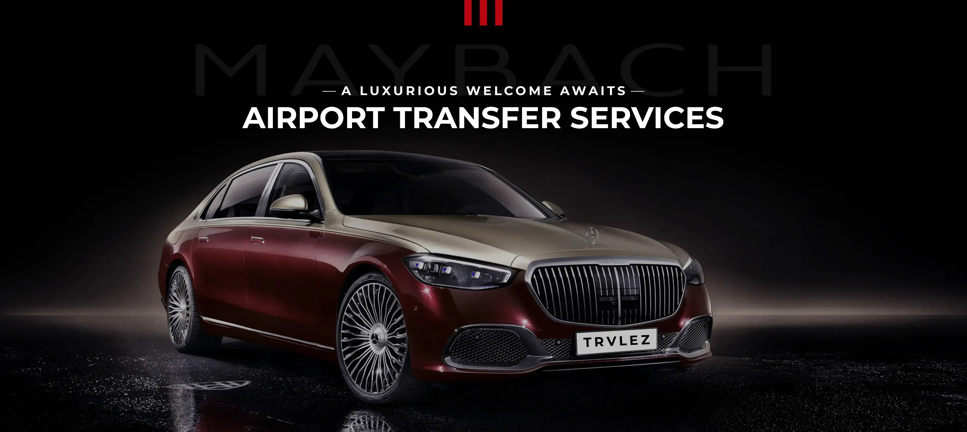 PUNIA TRAVELEAZE PRIVATE LIMITED