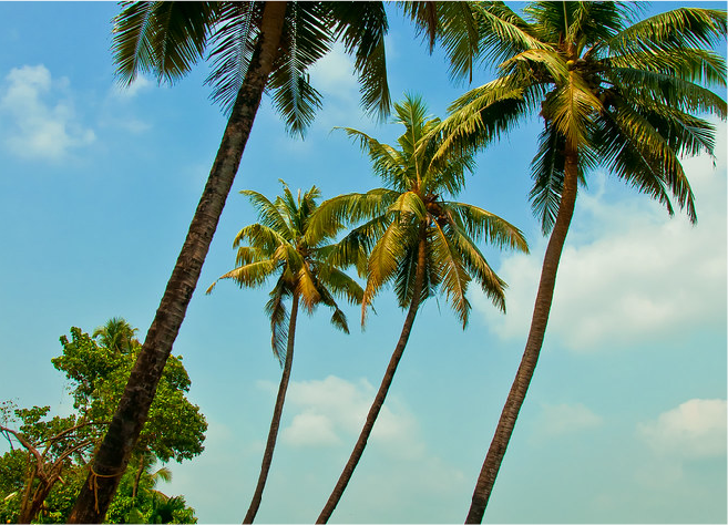THIRUKOCHI RESIDENCY photo 3