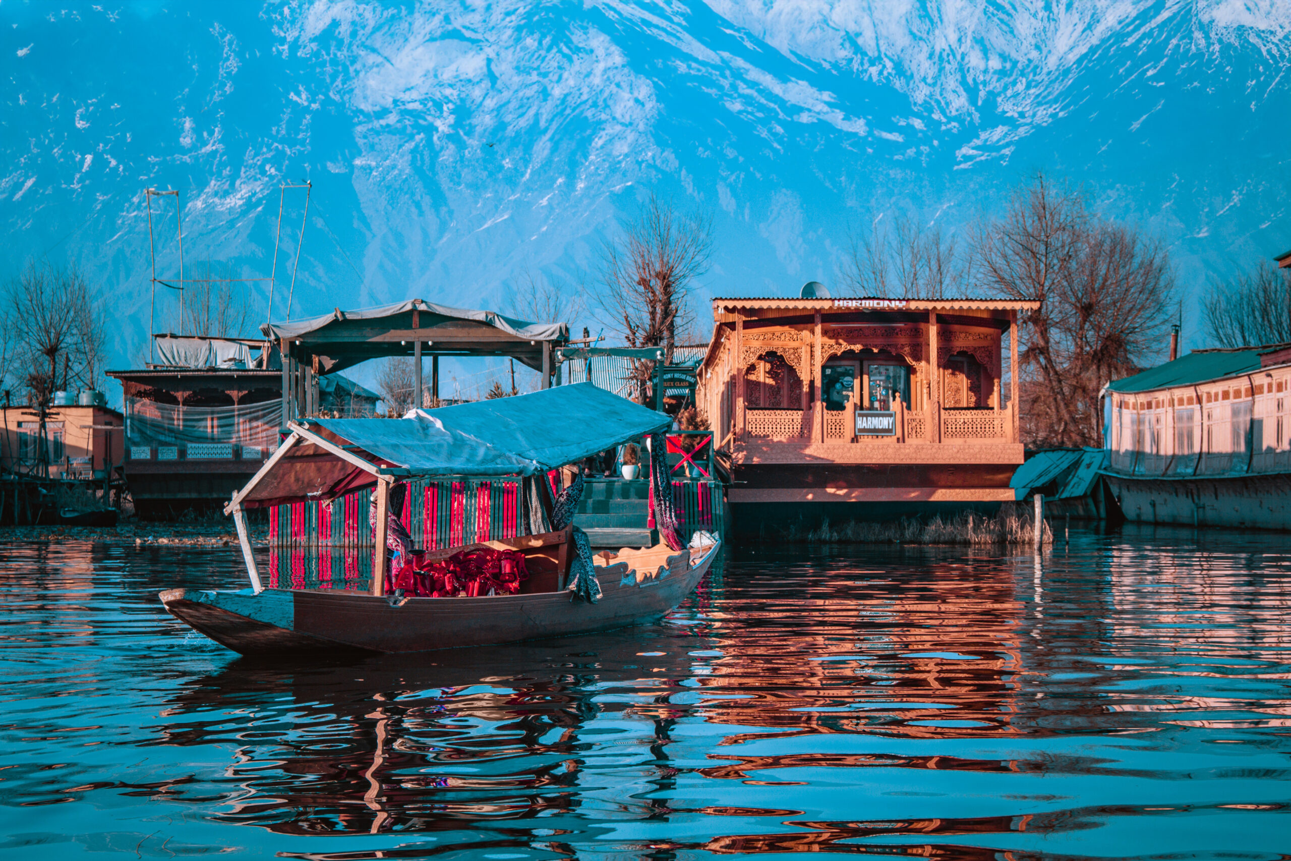 VFM Holidays And Travel Pvt Ltd photo 2