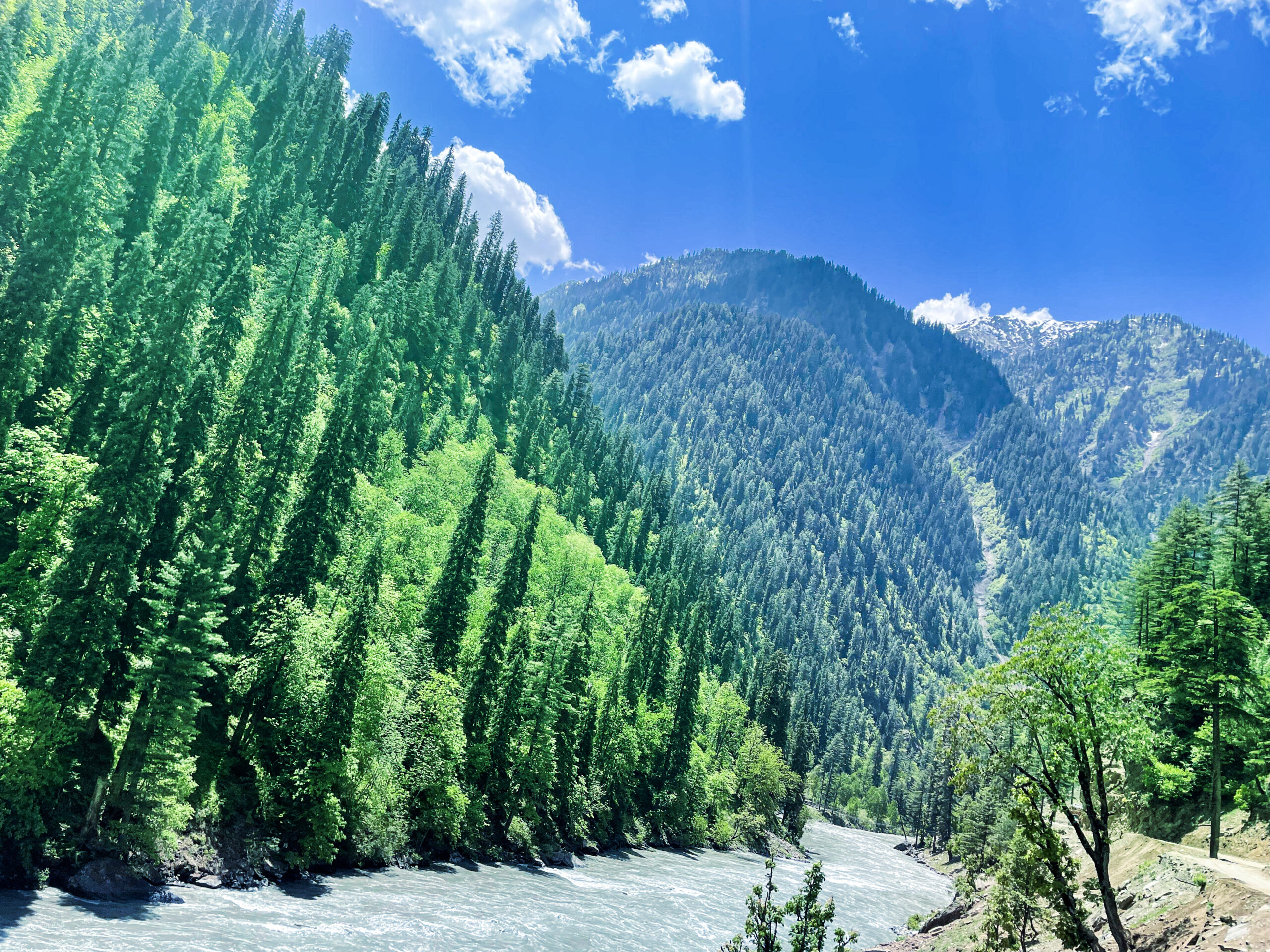 VFM Holidays And Travel Pvt Ltd photo 1
