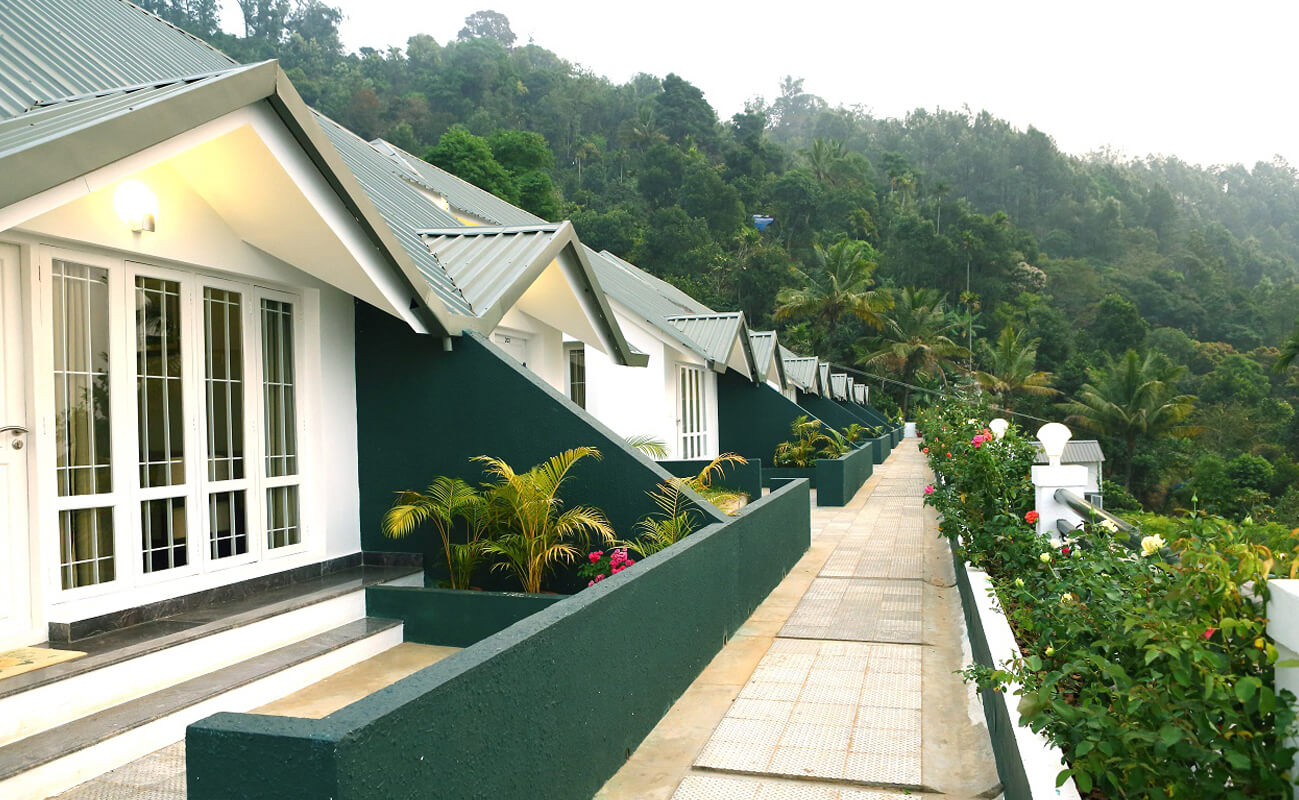 Munnar Tea Hills