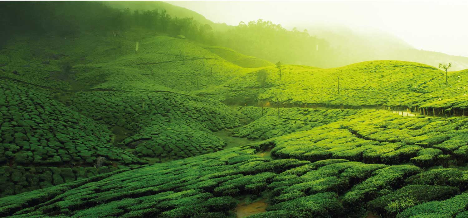 Intersight Tours & Travels (P) Ltd