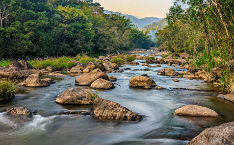 Ayursakti River Dale Resort photo 3
